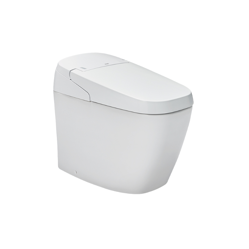 Bồn Cầu Thông Minh INAX AC-G216VN/BW1