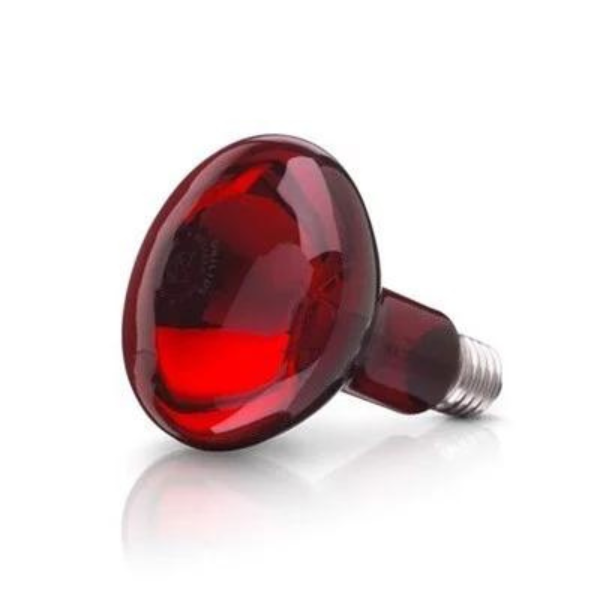 Bóng Đèn Hồng Ngoại Philip 100W