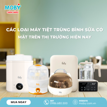 Các Loại Máy Khử Trùng Bình Sữa Phổ Biến Hiện Nay