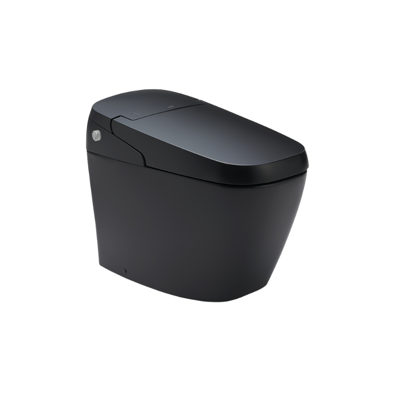 Bồn Cầu Thông Minh INAX AC-G216VN/BKG