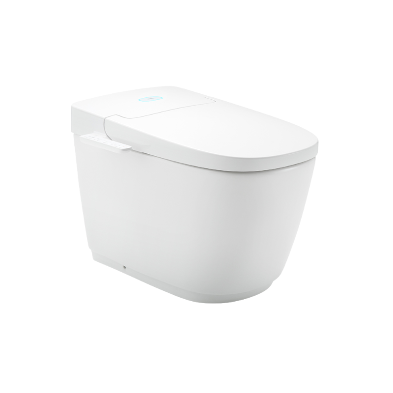 Bồn Cầu Thông Minh INAX AC-816VN