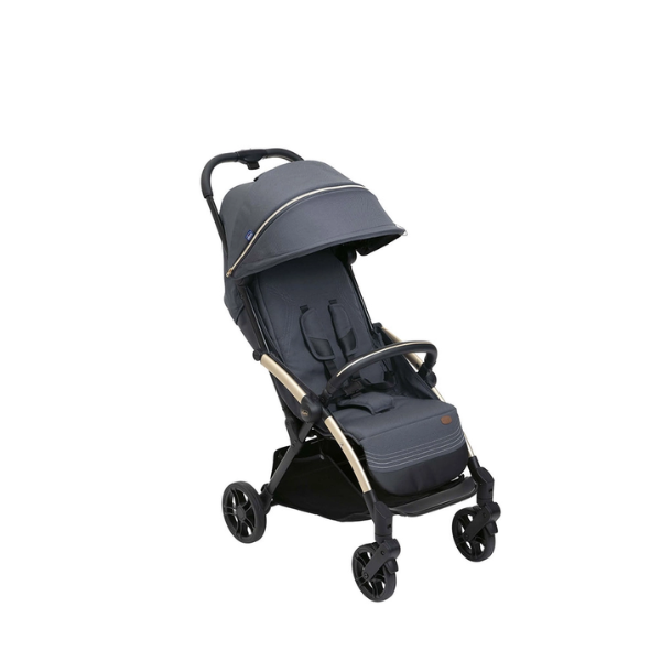 Xe Đẩy Gấp Gọn Tự Động Chicco Goody Xplus Màu Xanh Ghi