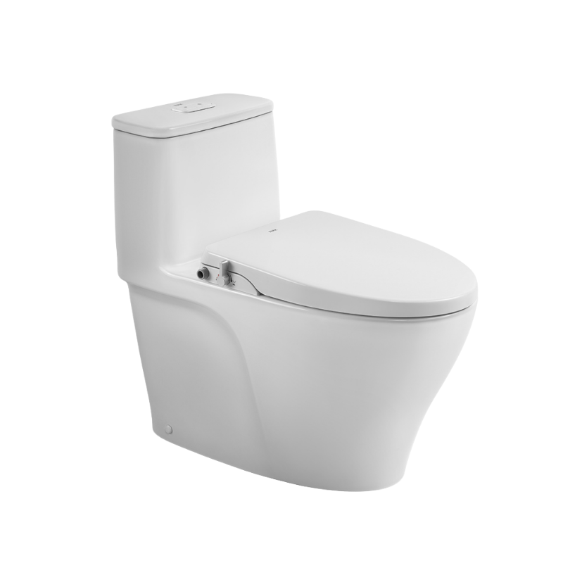 Bồn Cầu Nắp Rửa Cơ INAX AC-989+CW-S15VN