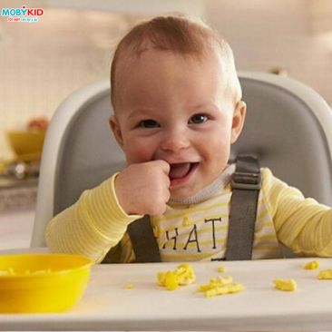Top các loại bánh ăn dặm thơm ngon giàu dinh dưỡng đạt tiêu chuẩn quốc tế
