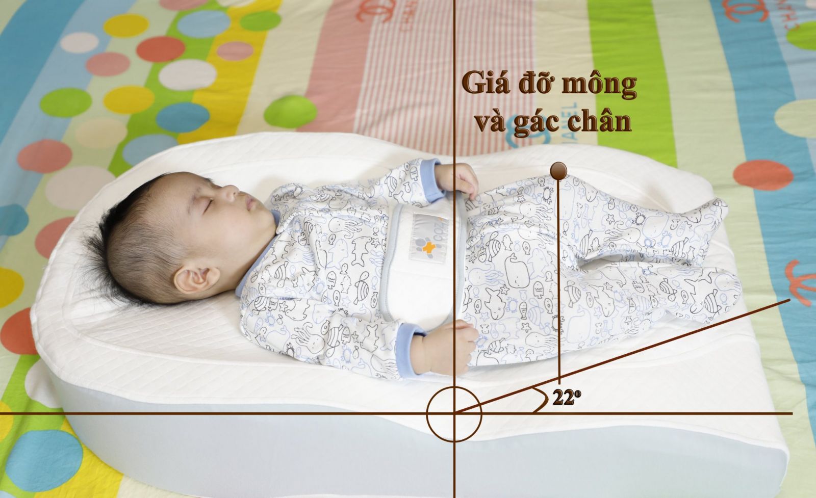 Đệm ngủ đúng tư thế và chống trào ngược Coza LITE - Màu Xanh Dương