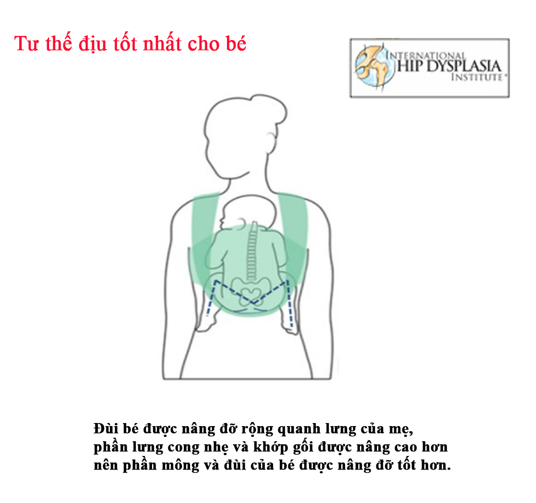 Địu cho bé Ergobaby Adapt Cool Air Mesh