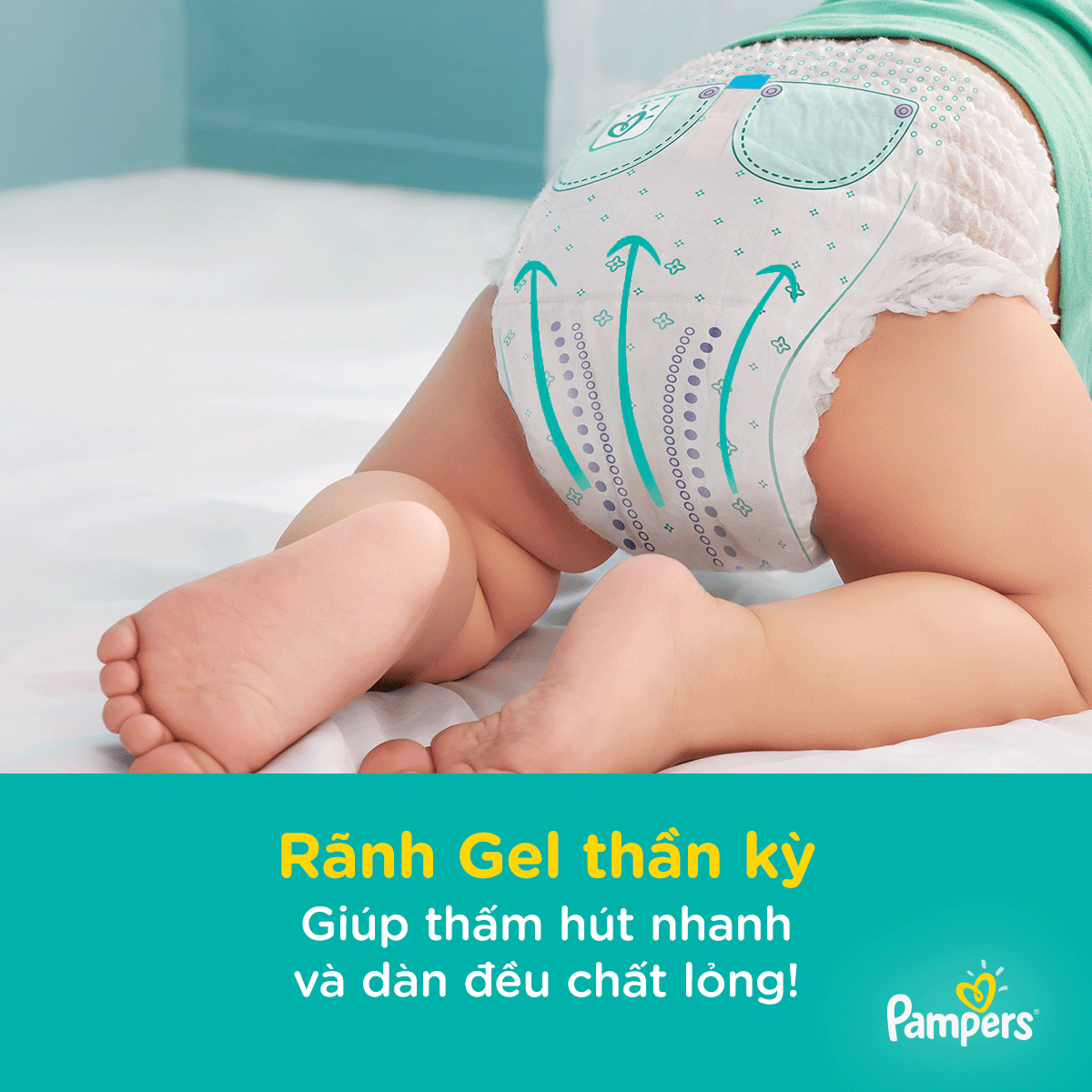 Bỉm - Tã quần Pampers tiết kiệm size L 36 miếng (Bé 9-14kg)