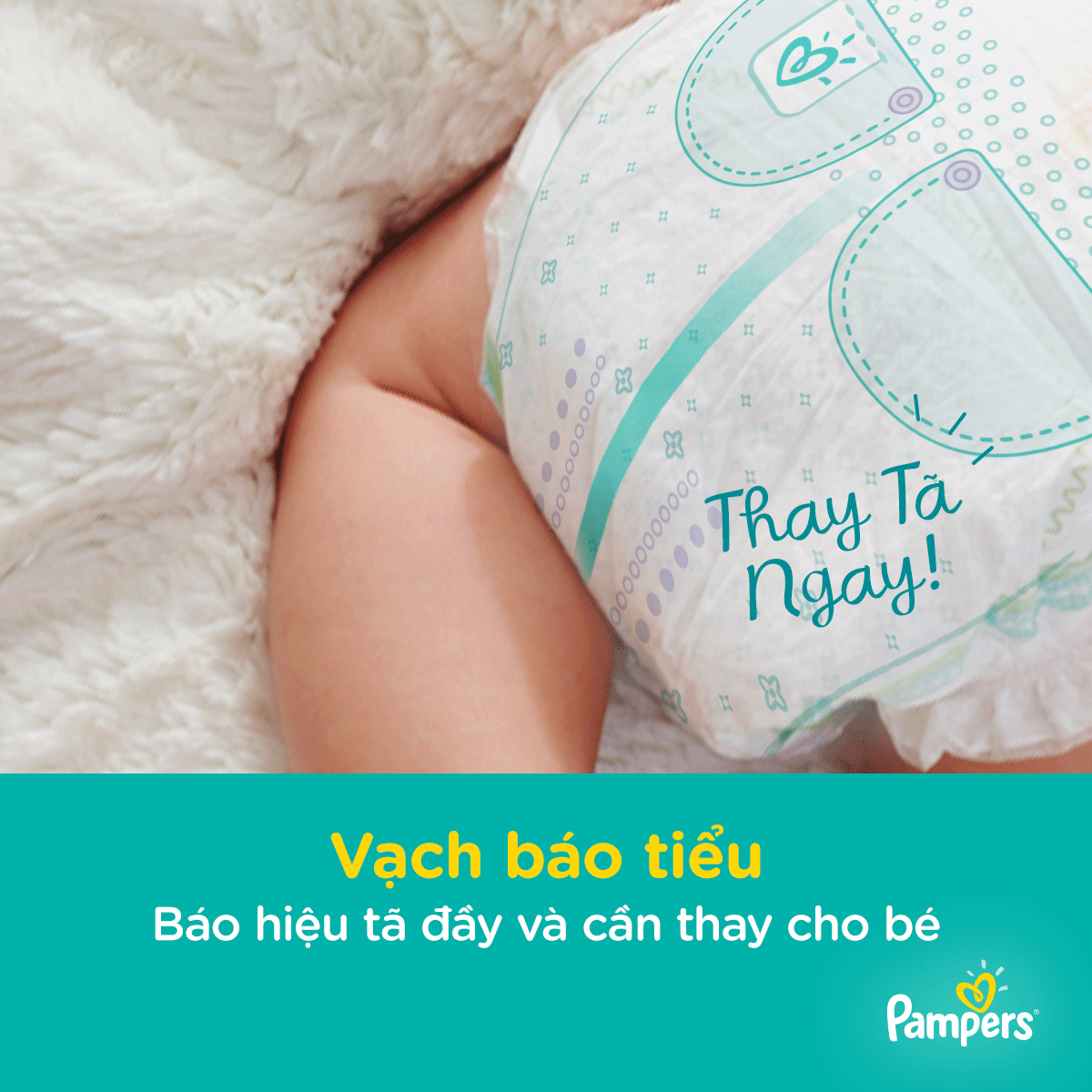 Bỉm - Tã quần Pampers tiết kiệm size L 36 miếng (Bé 9-14kg)