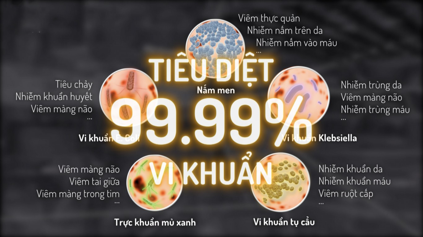 Máy tiệt trùng UV Fatz dòng King có tốt không-2