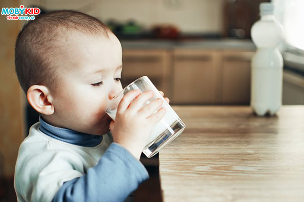 Sữa bột cho bé bị dị ứng đạm sữa bò và những lưu ý mẹ không nên bỏ qua