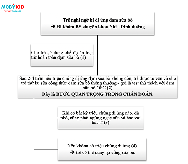 Sữa bột cho bé bị dị ứng đạm sữa bò và những lưu ý mẹ không nên bỏ qua