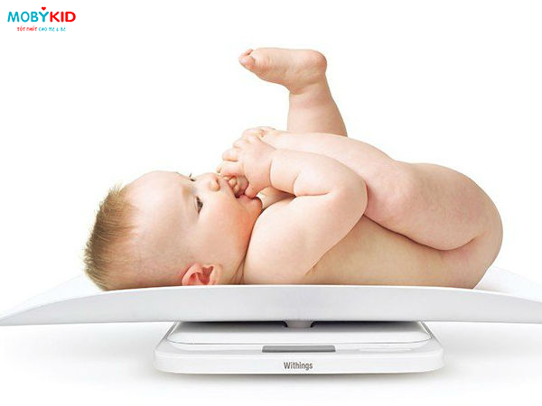 Sữa bột tăng cân cho bé và những điều mẹ cần biết khi chọn mua