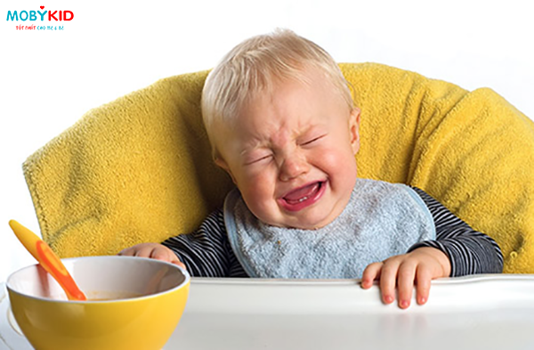 Sữa bột tăng cân cho bé và những điều mẹ cần biết khi chọn mua