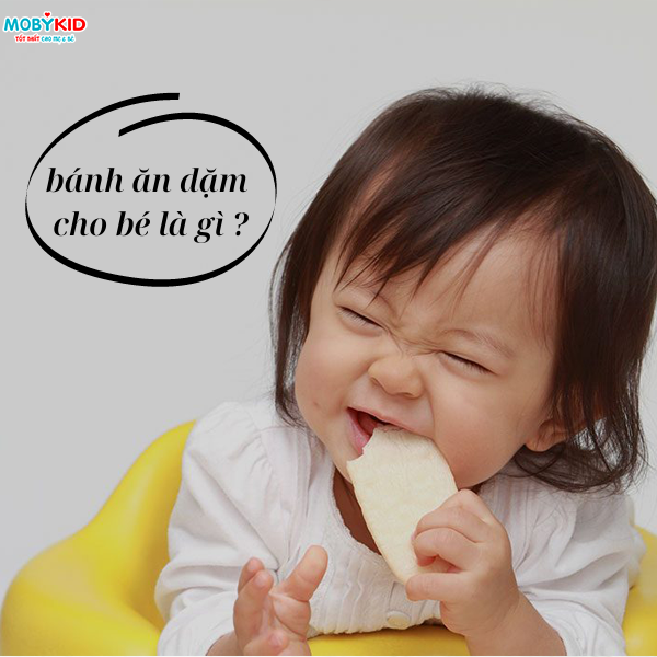 bánh ăn dặm cho bé là gì -1