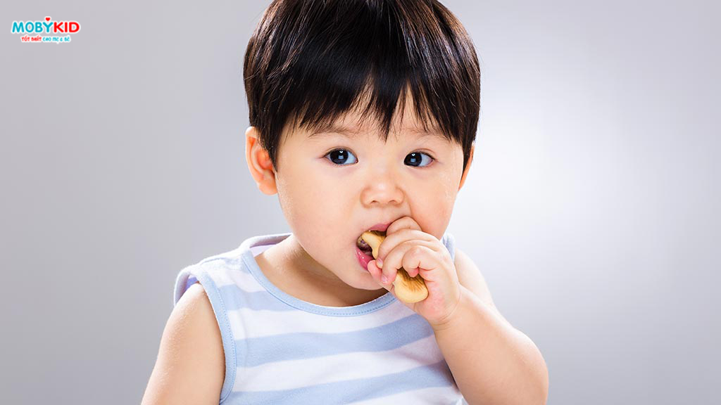 So sánh các dòng bánh ăn dặm cho bé tốt nhất hiện nay