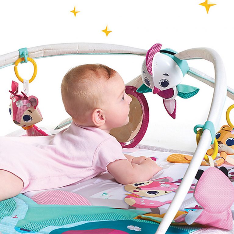 tham-choi-tiny-love-gymini-deluxe-tiny-princess-tales-6